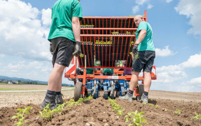 Wetterkapriolen bestimmen den Takt