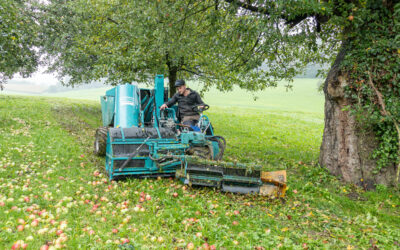 Hochstamm-Obst im grossen Stil